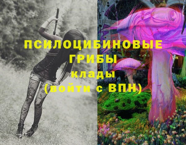МДМА Верея