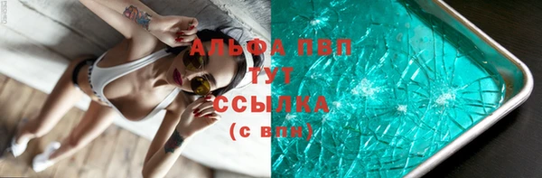 дживик Верхний Тагил
