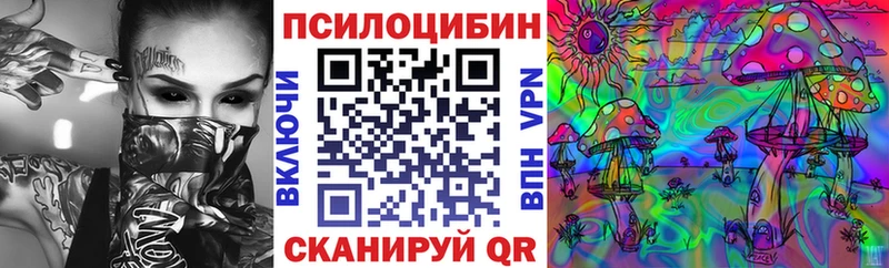 купить наркоту  Таганрог  Галлюциногенные грибы Psilocybine cubensis 