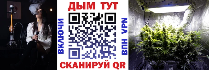 Конопля гибрид  Таганрог 